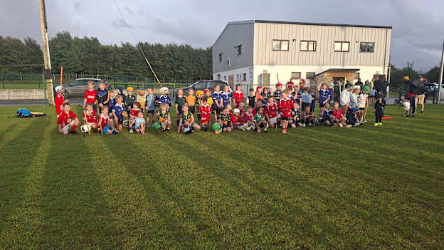 The Hurling Nua initiative is proving to be a success in Wicklow.