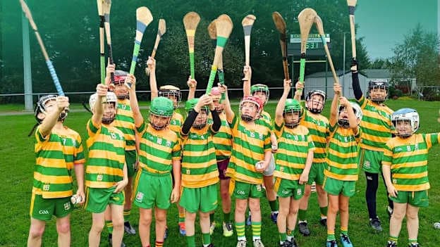 Westmeath's Castledaly proving hurling can prosper in football heartlands
