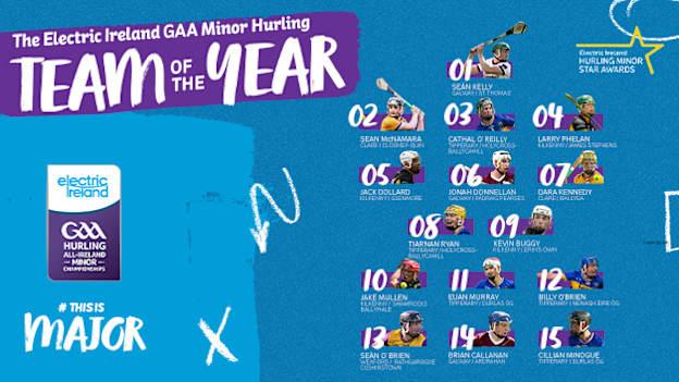 2024 Electric Ireland GAA Minor Star Hurling Team of the Year.