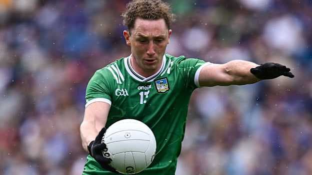 Peter Nash of Limerick. Photo by Piaras Ó Mídheach/Sportsfile