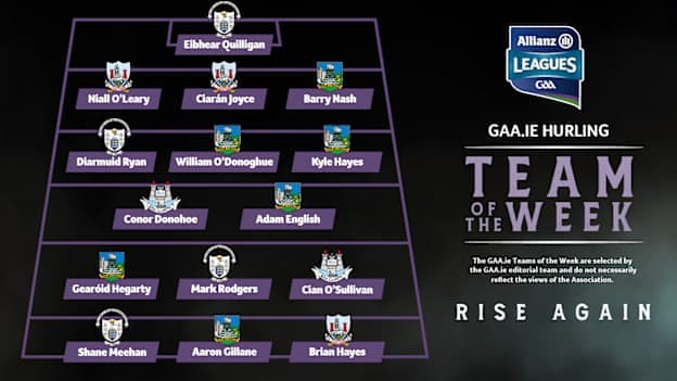 GAA.ie Hurling Team of the Week
