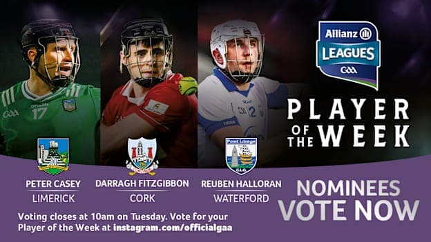 GAA.ie Hurler of the Week nominees