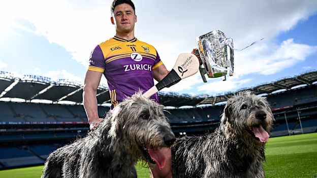 In attendance at the launch of Bord Gáis Energy’s continued sponsorship of the GAA All-Ireland Senior Hurling Championship is Bord Gáis Energy ambassador and hurling star Lee Chin of Wexford at Croke Park in Dublin. The announcement marks 17 years of Bord Gáis Energy’s involvement in inter-county hurling and celebrates the excitement, spirit and pride that make the championship and its fans so unique. Photo by Ramsey Cardy/Sportsfile.