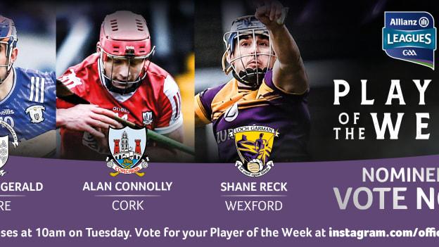 Clare's David Fitzgerald, Cork's Alan Connolly, and Wexford's Shane Reck are this week's GAA.ie Hurler of the Week nominees. 