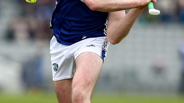 Paddy Purcell has been in fine form for the Laois hurlers. 