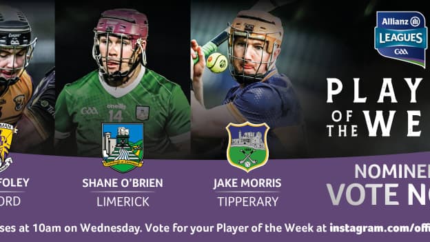 GAA.ie Hurler of the Week nominees