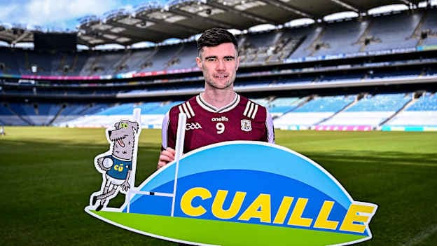 Seán Ó Maoilchiaráin - Ambasadóir Gaeilge CLG 2026 (2)