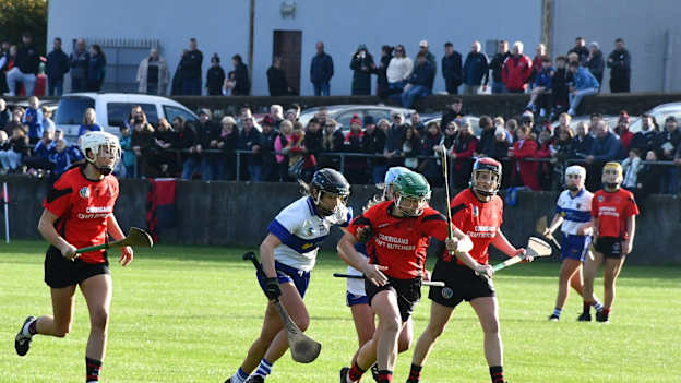 Round-up: Weekend's senior camogie club championship action