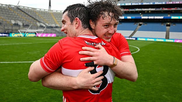 2026 Champion 15 Hurling Team of the Year 