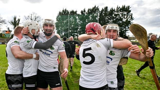 Warwickshire won the Allianz Hurling League Division 3B title last month. Photo by Sam Barnes/Sportsfile