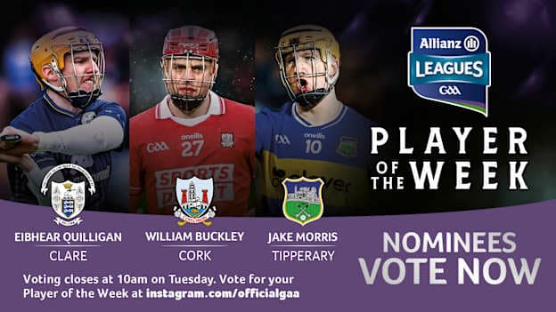 POTW Web Image Week1 Jan 24+25_Hurling