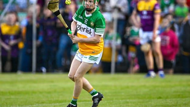 Rising Offaly hurling star, Adam Screeney. 