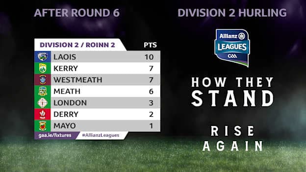 How they currently stand in Division 2 of the Allianz hurling League. 