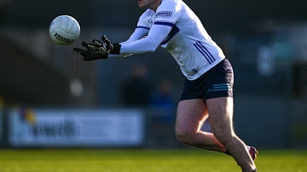Laois goalkeeper Killian Roche. Photo by Ray McManus/Sportsfile.