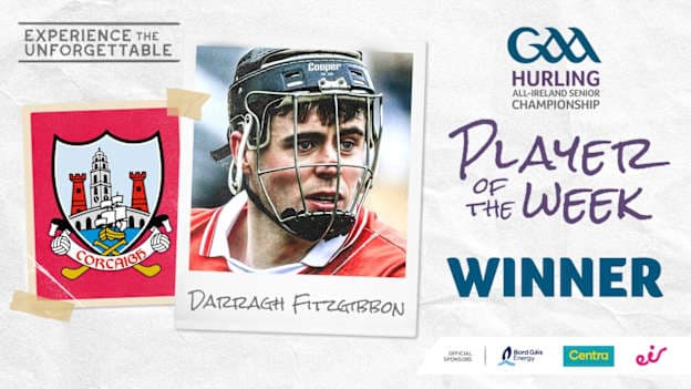 Darragh Fitzgibbon voted GAA.ie Hurler of the Week