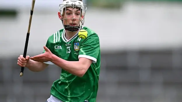 Electric Ireland MHC quarter-final: Limerick too strong for Clare