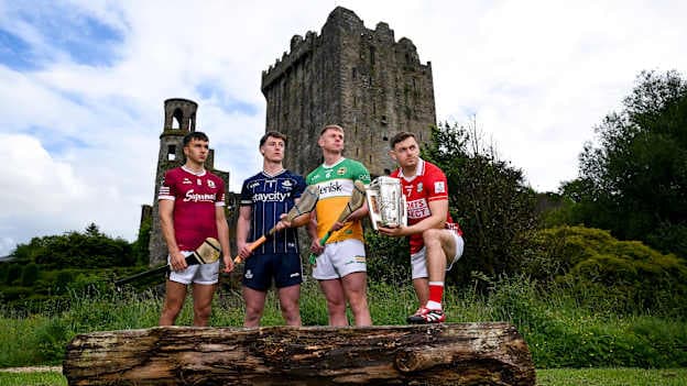 Players, from left, Aaron Niland of Galway, Eddie Gibbons of Dublin, Killian Sampson of Offaly and Mark Coleman of Cork pose for a portrait during the launch of the 2026 All-Ireland Senior Hurling Championship at Blarney Castle in Cork. Photo by Brendan Moran/Sportsfile