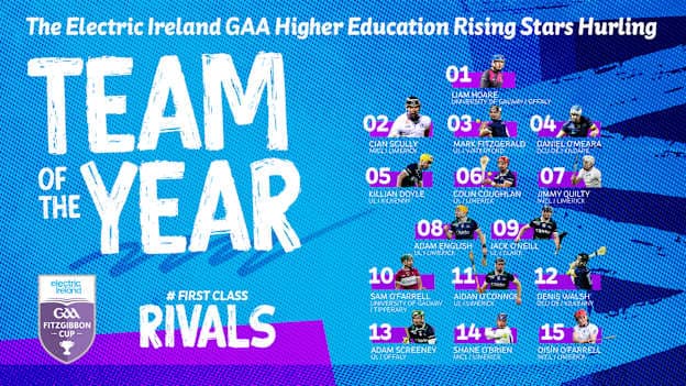 The 2026 Electric Ireland GAA Higher Education Rising Stars Hurling Team of the Year. 