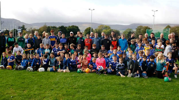 Cahill's successful visit helps Warrenpoint's hurling cause