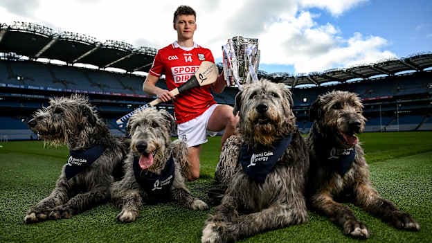 In attendance at the launch of Bord Gáis Energy’s continued sponsorship of the GAA All-Ireland Senior Hurling Championship is Bord Gáis Energy ambassador and hurling star Alan Connolly of Cork at Croke Park in Dublin. The announcement marks 17 years of Bord Gáis Energy’s involvement in inter-county hurling and celebrates the excitement, spirit and pride that make the championship and its fans so unique. Photo by Ramsey Cardy/Sportsfile.
