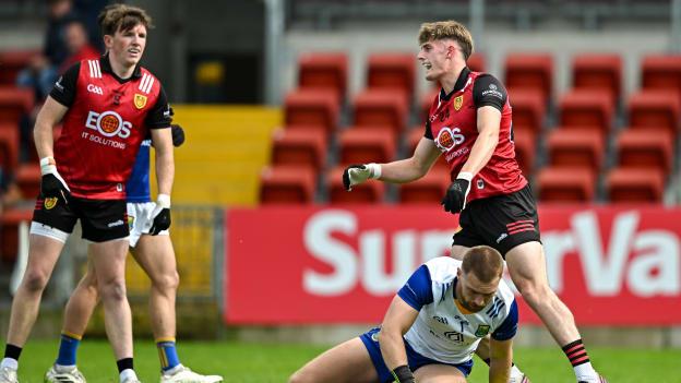 John McGovern following Down's first goal in Saturday's Tailteann CUp clash against Wicklow. Photo by Sam Barnes/Sportsfile