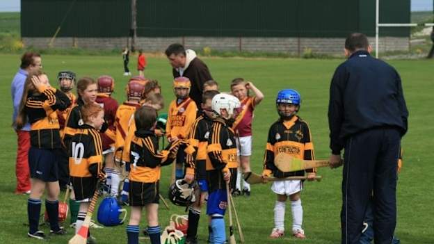 Some of the very first Wild Geese U-8 hurling/camogie players pictured in 2008. 