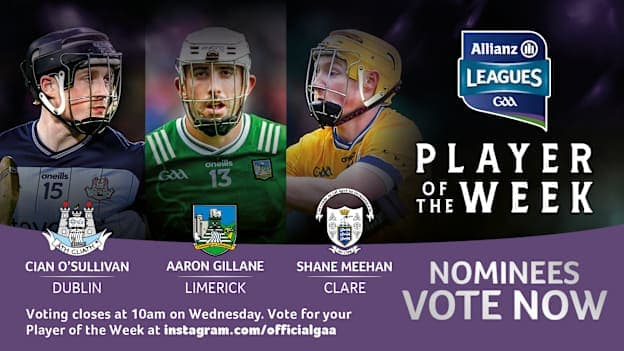 Dublin's Cian O'Sullivan, Limerick's Aaron Gillane, and Clare's Shane Meehan are this week's GAA.ie Hurler of the Week nominees. 
