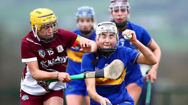 Round-up: Saturday's Centra Camogie League action