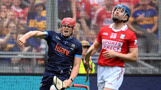 Rhys Shelly celebrates after saving Conor Lehane's penalty in the All-Ireland SHC Final. 