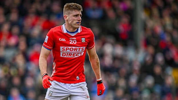 Ian Maguire remains a key performer for Cork. Photo by Seb Daly/Sportsfile