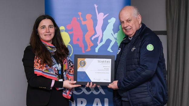 There was significant interest in the GAA's Wheelchair Hurling Development Day at Croke Park.