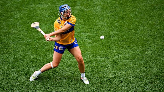 Round-up: Saturday's Glen Dimplex All-Ireland Camogie Championship action