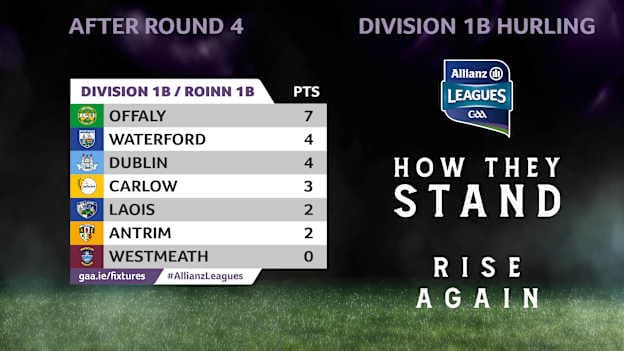 How they stand in Division 1B of the Allianz Hurling League. 