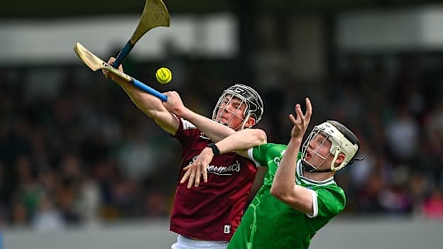 Electric Ireland MHC semi-final: Limerick too good for Galway