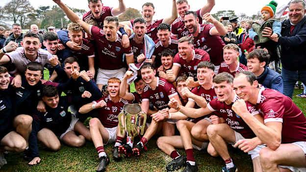 St Martin's won their fifth Wexford SHC title earlier this month. Photo by Piaras Ó Mídheach/Sportsfile