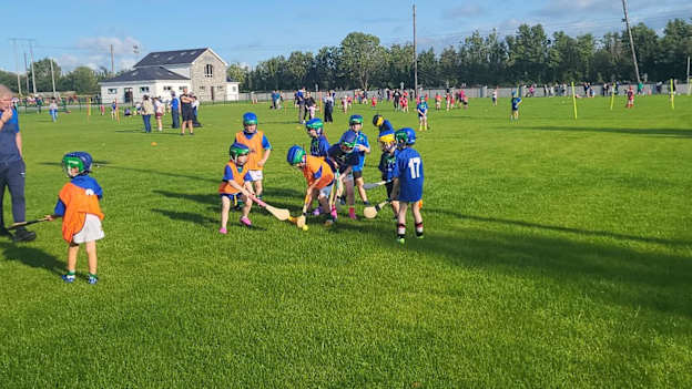 The Shannon GAels U8 hurlers in action at training. 