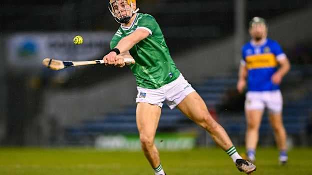 Limerick's Adam English in Allianz Hurling League action. Photo by Piaras Ó Mídheach/Sportsfile