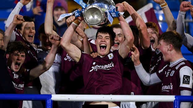 Electric Ireland Leinster MHC Final: Galway win thriller
