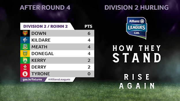 How they stand in Division 2 of the Allianz Hurling League