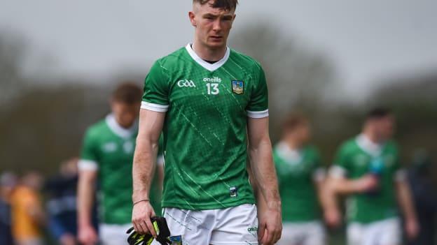 Barry Coleman is a key performer for Limerick. Photo by Tom Beary/Sportsfile