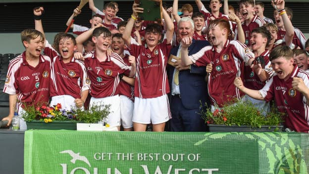 Dicksboro claimed John West All Ireland Feile glory in 2017.