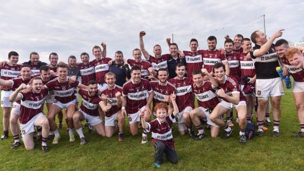 The Mullinalaghta players celebrate their Leinster SFC first round victory over Laois champions Stradbally.
