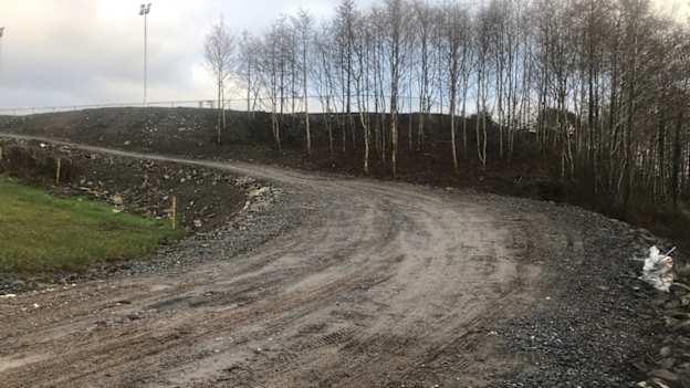 The alder trees that will form part of Culloville Blues GAC's biodiversity walk. 