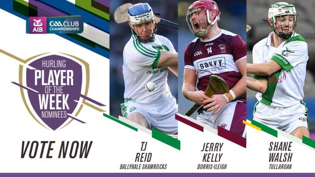 GAA.ie POTW (20th Jan 2020) Web Image Hurling