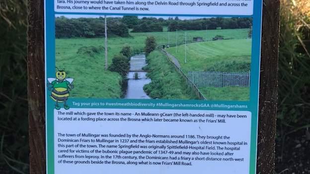 Mullingar Shamrocks' GAA club is situated beside the River Brosna.
