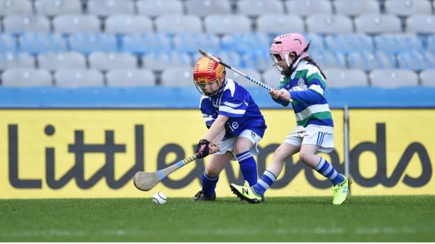 Littlewoods Ireland sponsoring GAA Go Games.