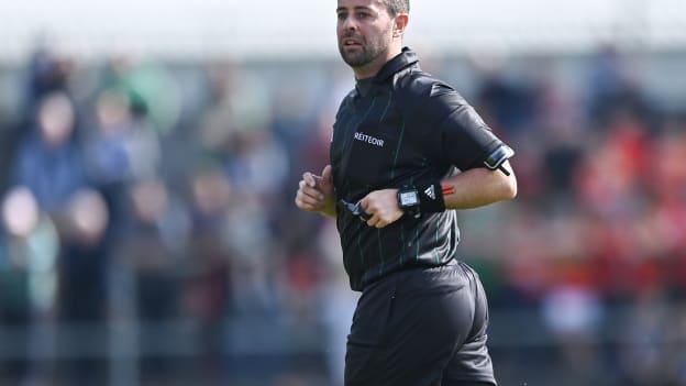 Meath referee David Gough.