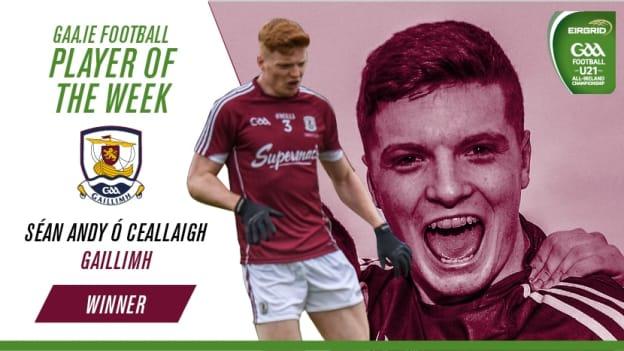 Sean Andy O Ceallaigh