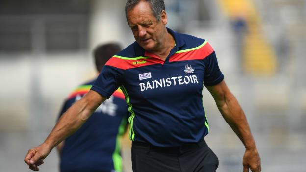 John Meyler has stepped down as Cork senior hurling team manager. 