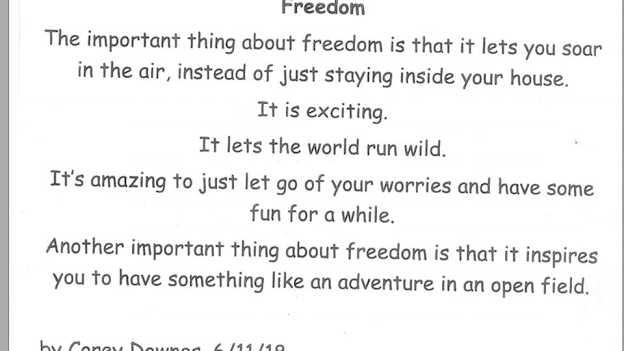 A poem entitled 'Freedom' written by eight-year old Killoe Young Emmets player Corey Downes. 